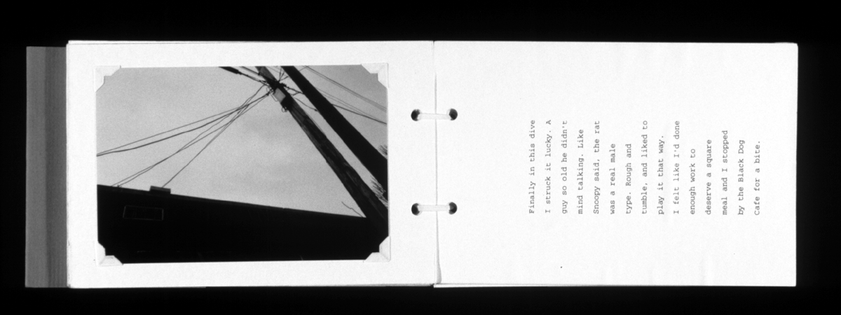 farewellmysweet book page