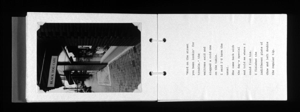 farewellmysweet book page