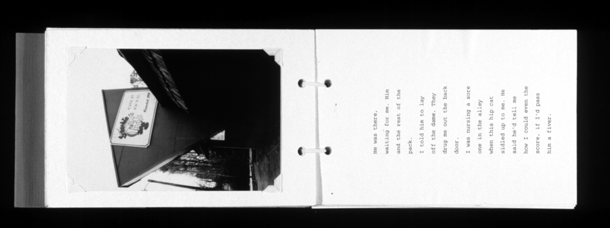 farewellmysweet book page